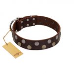 "Shadow Warrior" FDT Artisan Mystic Brown Leather English Pointer Collar with Runes