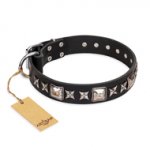 "Space Walk" FDT Artisan Black Leather English Pointer Collar with Adornments