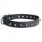 English Pointer Leather Collar Spiked 30 mm