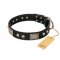 "Pirates Gold" FDT Artisan Black Leather English Pointer Collar with Old Silver Look Plates and Skulls