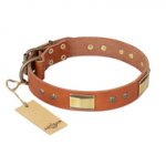 "Enchanting Spectacle" FDT Artisan Tan Leather English Pointer Collar with Old Bronze Look Plates and Round Studs