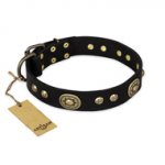 "High Fashion" FDT Artisan Studded with Plates Black Leather English Pointer Collar