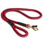 Nylon Cord English Pointer Leash for Walking and Training