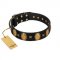 "Doggie Woggie" Designer Handmade FDT Artisan Black Leather English Pointer Collar with Ovals and Studs