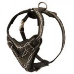 Painted Leather English Pointer Harness for Walking and Training