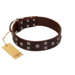 "Brown Shadow" Designer Handmade FDT Artisan Brown Leather English Pointer Collar