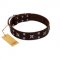 "Bigwig Woof" FDT Artisan Brown Leather English Pointer Collar with Chrome Plated Stars and Square Studs