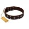 "Trendy Candy" FDT Artisan Brown Leather English Pointer Collar Adorned with Stars and Tiny Squares