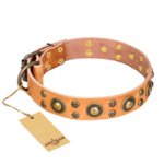 "Sophisticated Glamor" FDT Artisan Leather English Pointer Collar with Fancy Old Bronze-like Plated Decorations