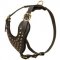 Adjustable Studded Leather English Pointer Harness for Fashion Walking