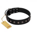 "Flower Rhapsody" FDT Artisan Premium Quaulity Black Leather English Pointer Collar