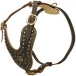 Royal Design Leather English Pointer Harness with Brass Studs