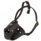 Everyday Leather English Pointer Muzzle for Training