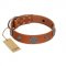 "Foxy Nature" FDT Artisan Tan Leather English Pointer Collar with Chrome Plated Brooches