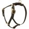 Y-Shaped Leather English Pointer Harness for Tracking and Training