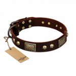 "Magic Amulet" Brown Leather English Pointer Collar with Skulls and Plates