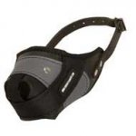 Protection Training English Pointer Muzzle Made of Nylon and Leather