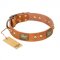"Saucy Nature" FDT Artisan Tan Leather English Pointer Collar with Old Bronze Look Plates and Skulls