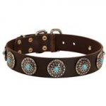 Leather English Pointer Collar with Blue Stones for Stylish Walking