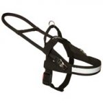 All Weather Nylon English Pointer Harness for Guide and Assistance