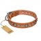 "Daily Chic" FDT Artisan Tan Leather English Pointer Collar with Decorations