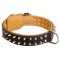 Spiked English Pointer Collar Padded with Nappa Leather