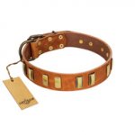 "Olive Slice" FDT Artisan Tan Leather English Pointer Collar with Engraved and Smooth Plates
