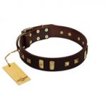 "Choco Delight" FDT Artisan Brown Leather English Pointer Collar with Old Bronze-like Plates and Studs
