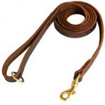 Stitched Leather English Pointer Leash for Training and Walking
