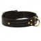 Incredible Design English Pointer Braided Leather Collar