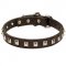 English Pointer Leather Collar Caterpillar Design