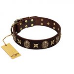 "Captain Hook" FDT Artisan Brown Leather English Pointer Collar with Stars and Skulls