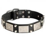Leather English Pointer Collar Decorated with Nickel-Plated Cones and Plates