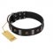 "Pirates' Symbol" Fashionable FDT Artisan Black Leather English Pointer Collar with Silver-Like Plates and Gold-Like Skulls