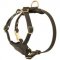 Spruce Leather English Pointer Harness With Small Chest Plate