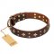 "High Fashion" FDT Artisan Embellished Brown Leather English Pointer Collar