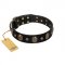 Pirate's Spell' FDT Artisan Black Leather English Pointer Collar with Engraved Studs and Medallions