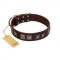 "Needle Stories" Modern FDT Artisan Brown Leather English Pointer Collar with Square Engraved Plates and Four-Point Stars