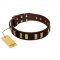 "Peace and Harmony" FDT Artisan Brown Leather English Pointer Collar with Plates