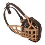 Basket-Like English Pointer Muzzle Leather