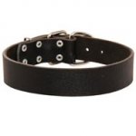 Wide Leather English Pointer Collar for Training and Walking