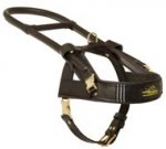 Guide and Assistance Leather English Pointer Harness