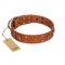 "Faraway Galaxy" FDT Artisan Tan Leather English Pointer Collar Adorned with Stars and Squares