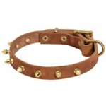 Walking Designer Leather English Pointer Collar with Brass Spikes