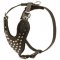 Adjustable Leather English Pointer Harness Studded for Fashion Walking