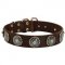Leather English Pointer Collar with Blue Stones for Stylish Walking