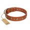 "Gorgeous Roundie" FDT Artisan Tan Leather English Pointer Collar with Chrome-plated Circles