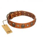 "Call of Feat" FDT Artisan Tan Leather English Pointer Collar with Old Bronze-like Studs and Oval Brooches
