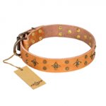 "Top-Flight" FDT Artisan Adorned Tan Leather English Pointer Collar