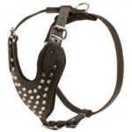 Adjustable Leather English Pointer Harness Studded for Fashion Walking